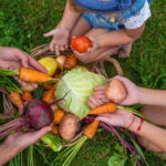 収穫を英語で表現すると？トマトや果物の収穫に使える表現からビジネス表現まで解説