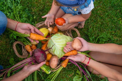 収穫を英語で表現すると？トマトや果物の収穫に使える表現からビジネス表現まで解説
